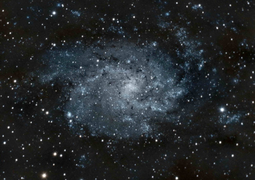 M33